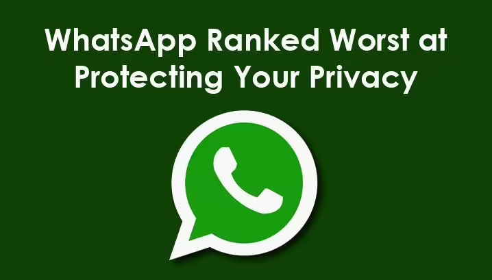 如何使用WhatsApp客服系統(tǒng)群發(fā)助手