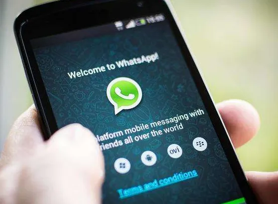 使用whatsapp與客戶溝通，你離不開(kāi)whatsapp翻譯！