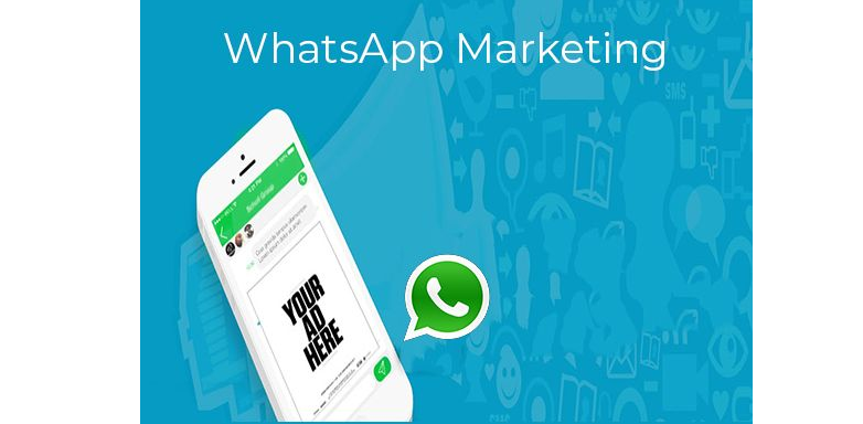 whatsapp有哪些實用的營銷工具？