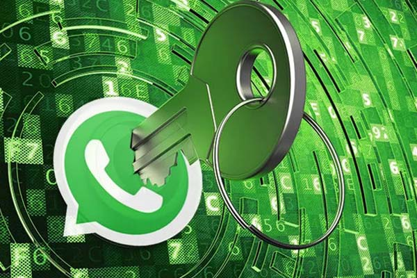 whatsapp營(yíng)銷短信