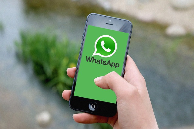 whatsapp營銷效果怎么樣？