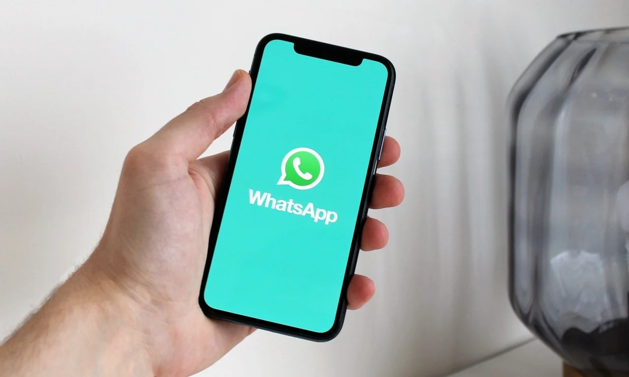 whatsapp聯(lián)系人篩選是什么意思？