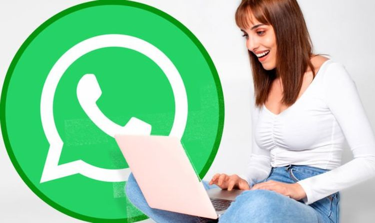 WhatsApp用戶篩選器，WhatsApp號(hào)碼過濾