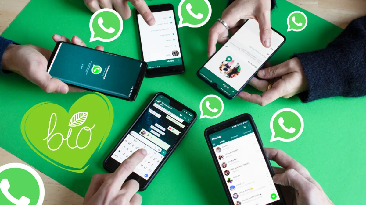 whatsapp篩號(hào)工具：全球手機(jī)號(hào)碼自動(dòng)生成軟件
