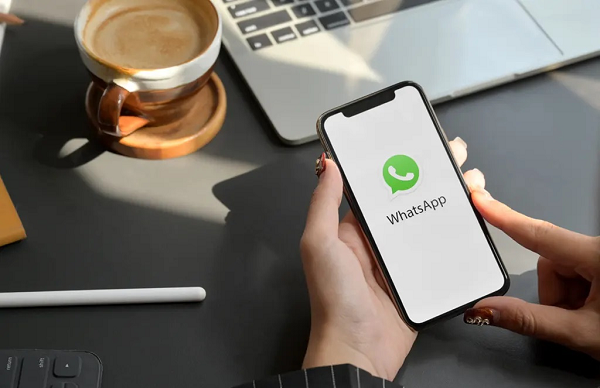 如何在線檢查WhatsApp號碼？