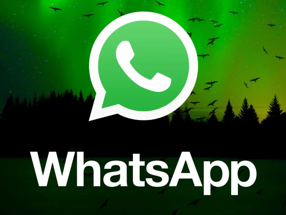 WhatsApp數(shù)字過濾