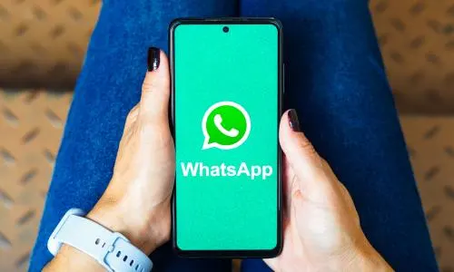 如何批量檢查 WhatsApp 號碼是否有效或活躍？