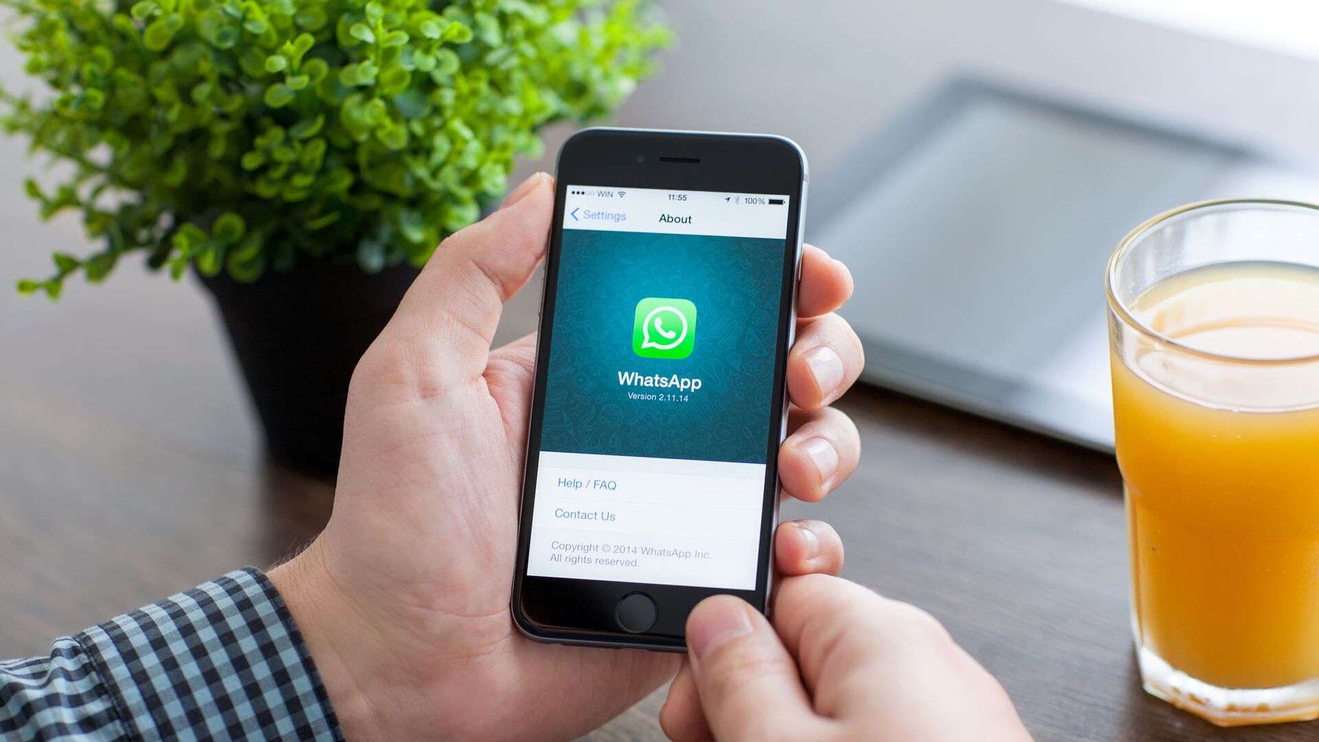 WhatsApp篩號助你成為營銷大牛