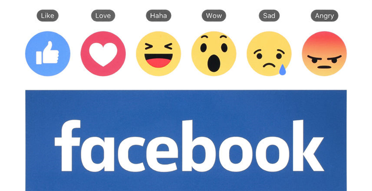 Facebook多賬號登錄軟件
