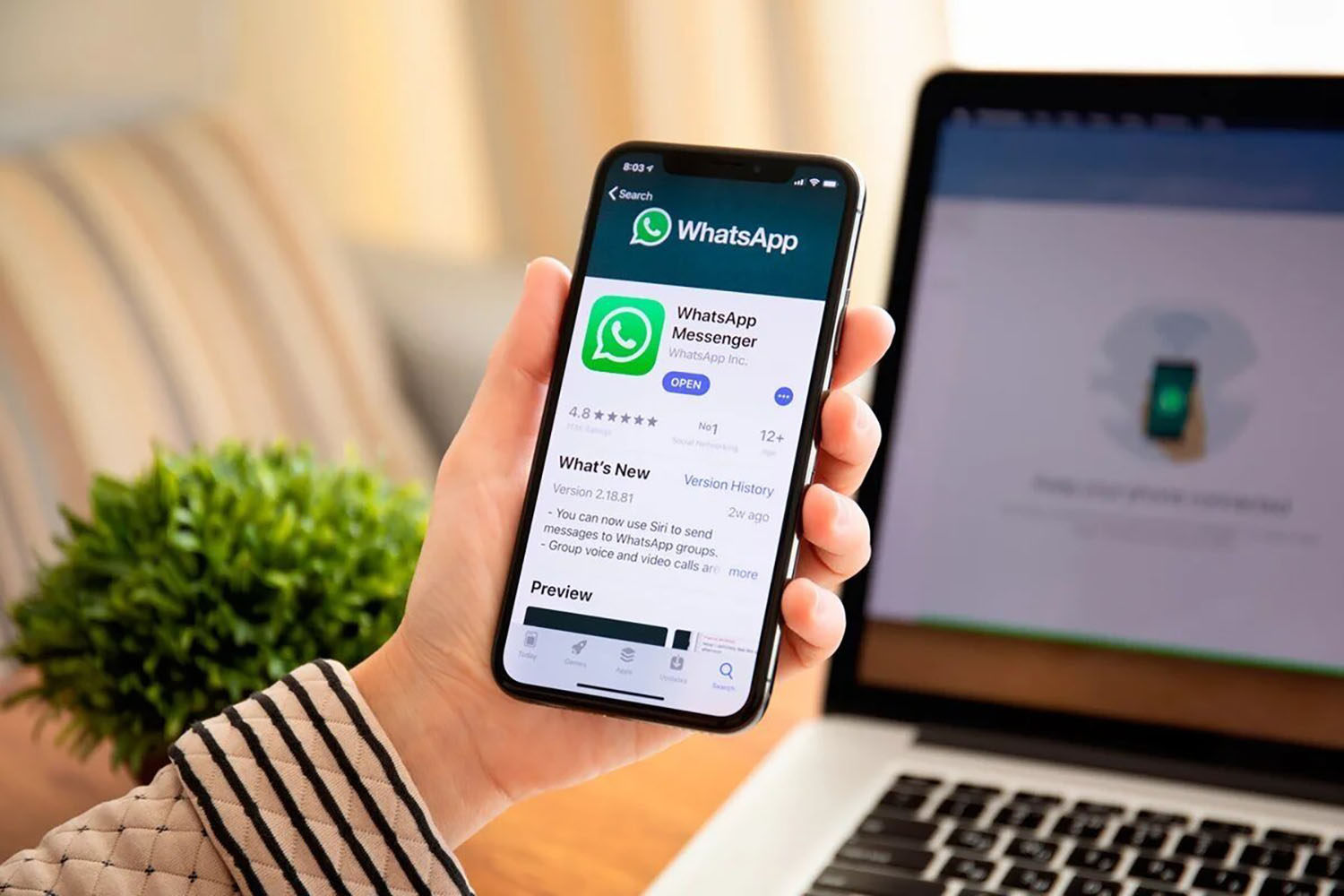 WhatsApp篩號軟件怎么使用