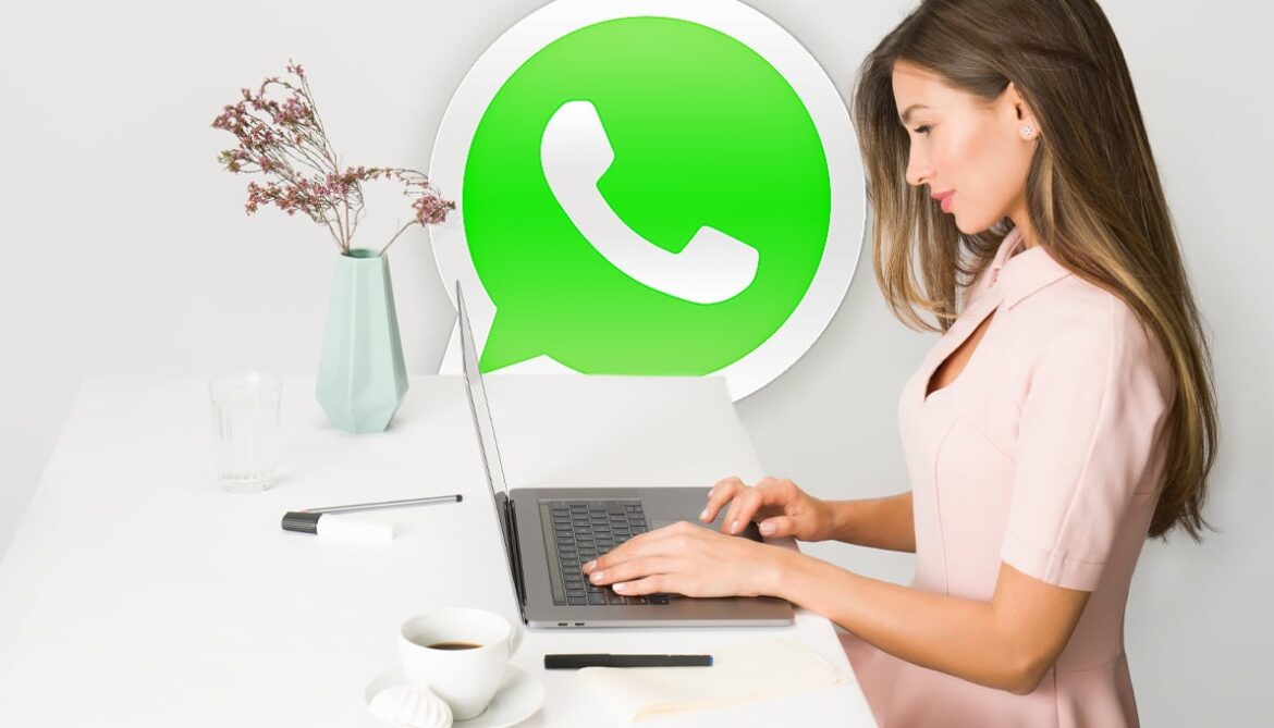 2024最新協(xié)議號注冊WhatsApp