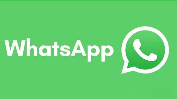 如何選擇WhatsApp篩號(hào)軟件?
