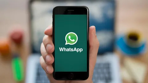 2024最新WhatsApp養(yǎng)號輔助軟件