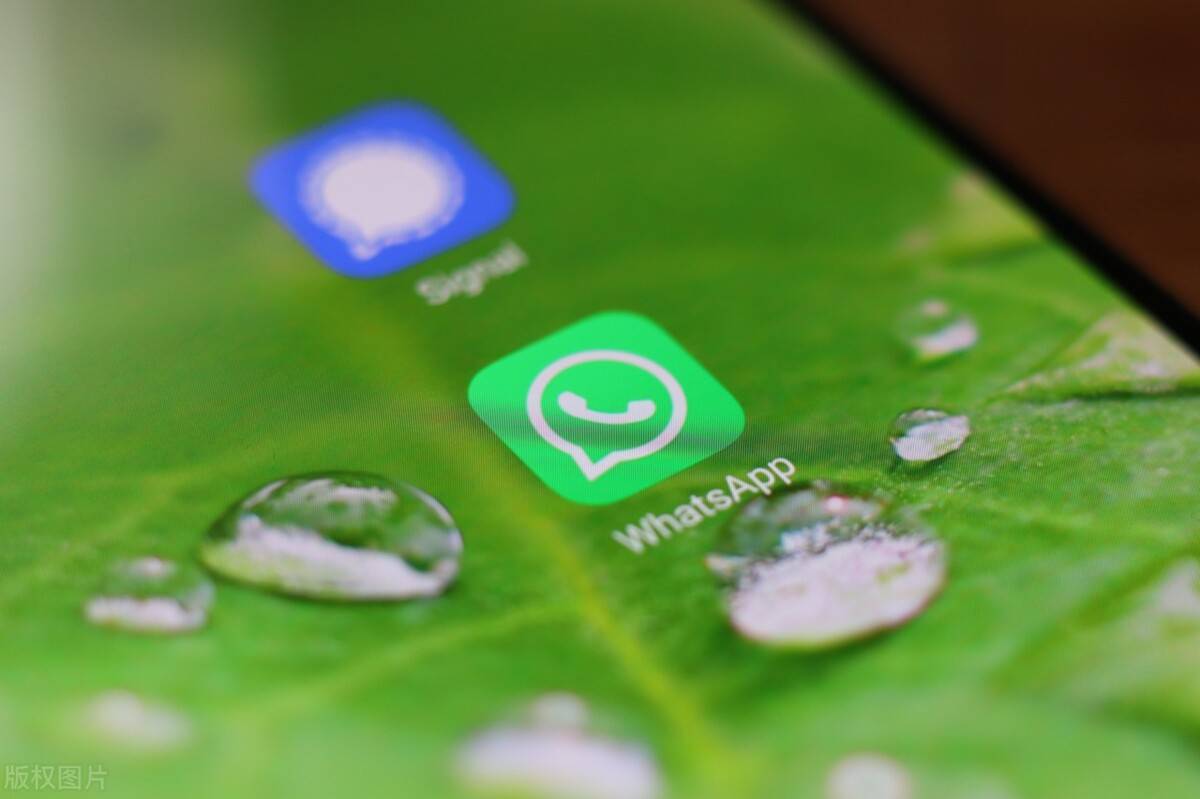 WhatsApp號碼驗證工具