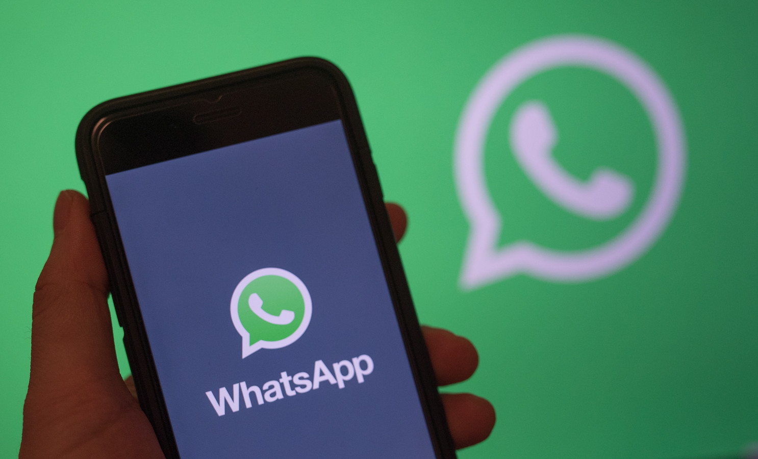 WhatsApp號(hào)碼驗(yàn)證助手有什么用？