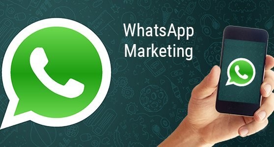 WhatsApp怎么養(yǎng)號(hào)？使用養(yǎng)號(hào)輔助軟件