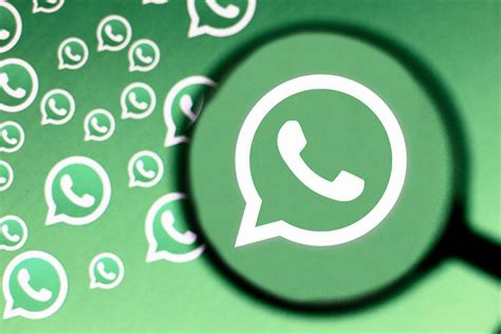 WhatsApp用戶信息采集軟件推薦