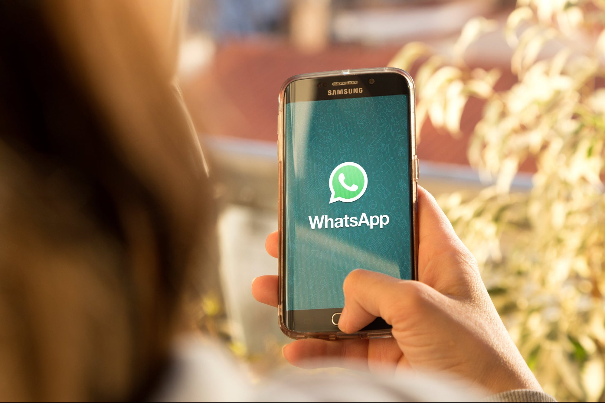 WhatsApp號(hào)碼生成器