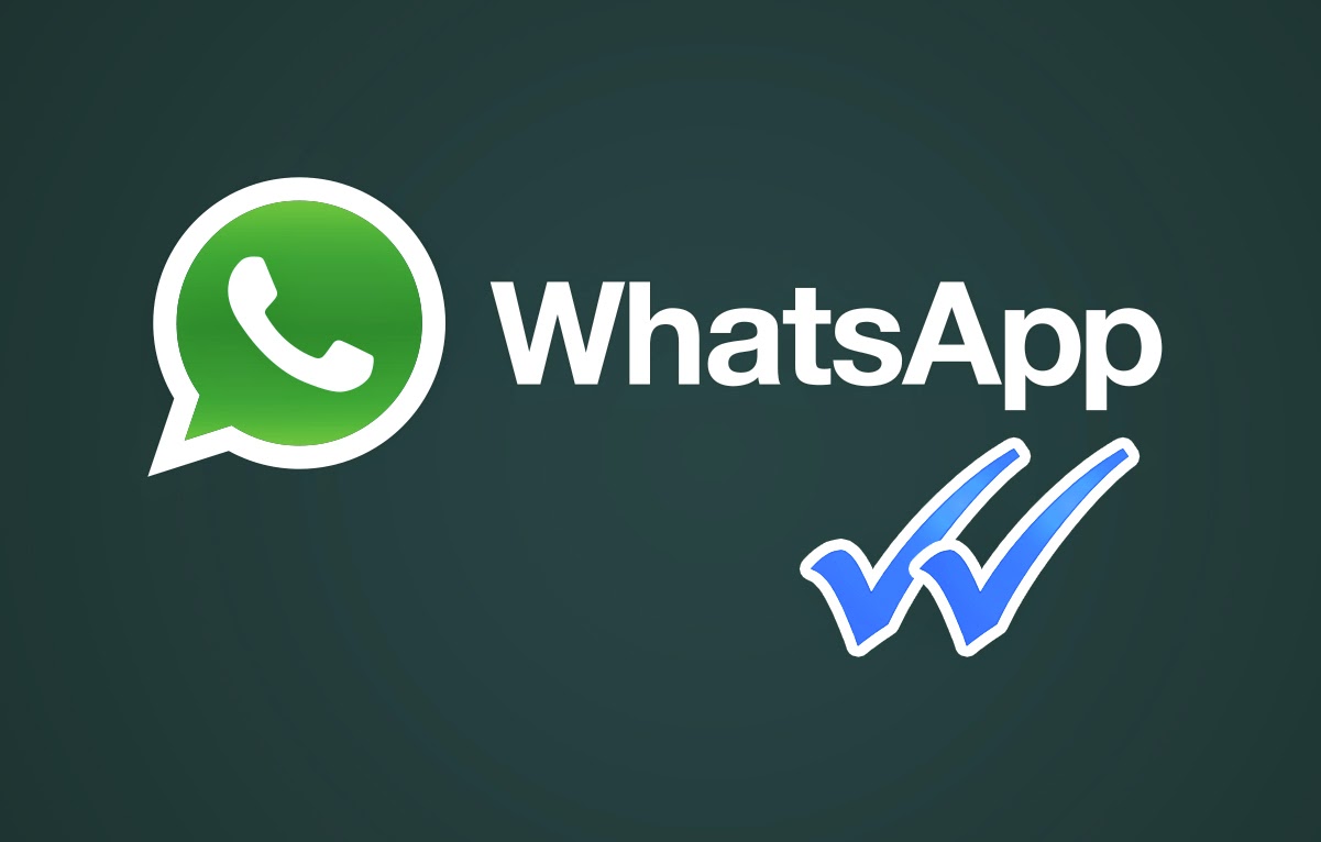 WhatsApp性別過濾工具有用嗎？