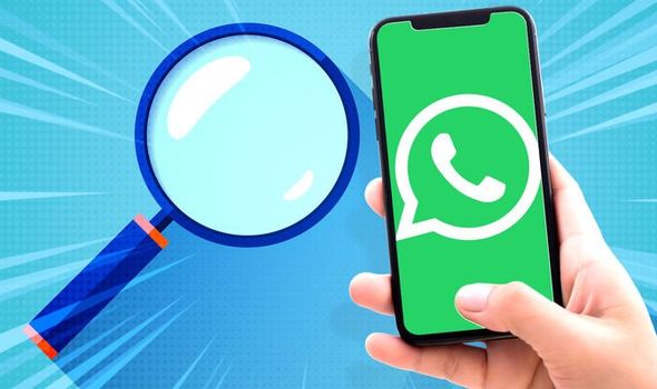 高級(jí)營(yíng)銷人員向您講解WhatsApp群發(fā)系統(tǒng)的用處