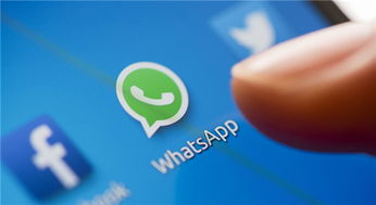 WhatsApp高效準確翻譯軟件