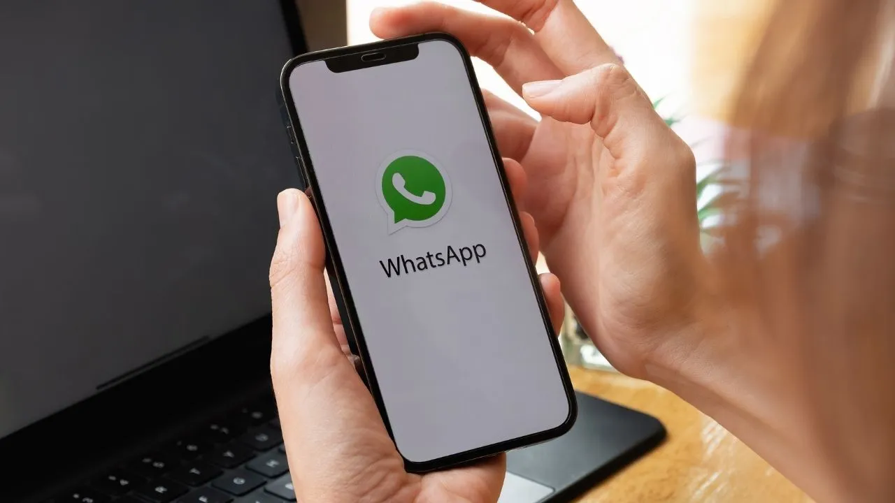 WhatsApp群發(fā)軟件的群發(fā)效率高嗎？