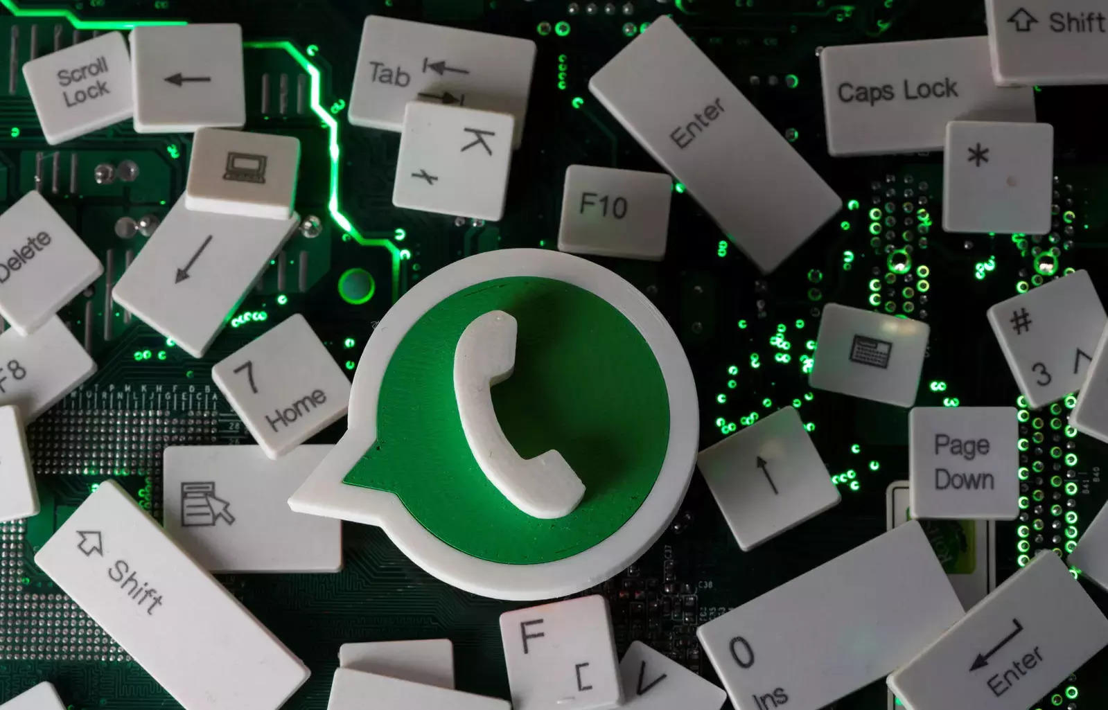 whatsapp篩號(hào)軟件