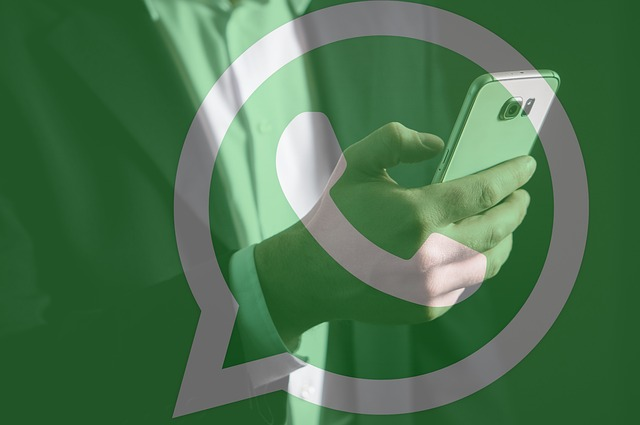 whatsapp群發(fā)
