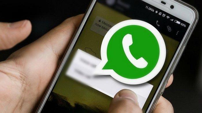 WhatsApp群發(fā)